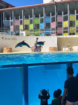 伊豆・三津シーパラダイスに投稿された画像（2023/8/18）