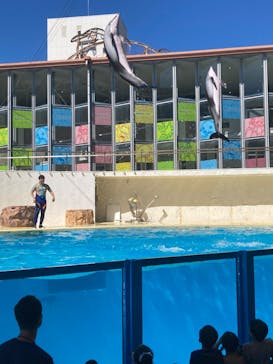 伊豆・三津シーパラダイスに投稿された画像（2023/8/18）