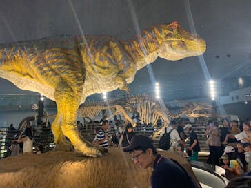 福井県立恐竜博物館に投稿された画像（2023/8/18）