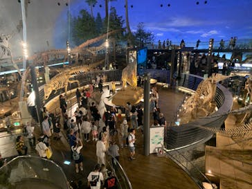 福井県立恐竜博物館に投稿された画像（2023/8/18）