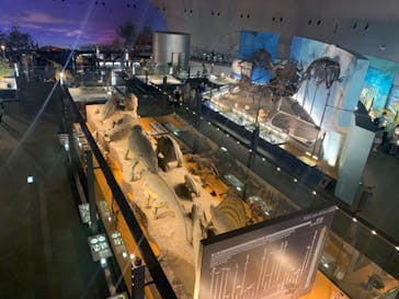 福井県立恐竜博物館に投稿された画像（2023/8/18）