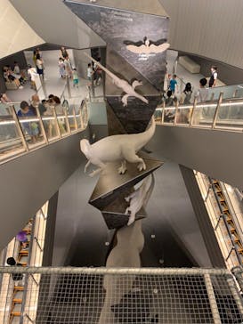 福井県立恐竜博物館に投稿された画像（2023/8/18）