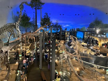 福井県立恐竜博物館に投稿された画像（2023/8/18）