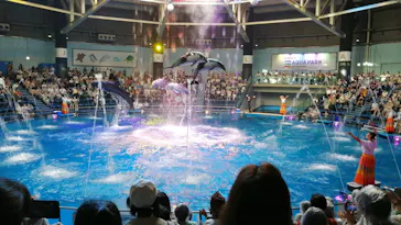 マクセル アクアパーク品川に投稿された画像（2023/8/18）