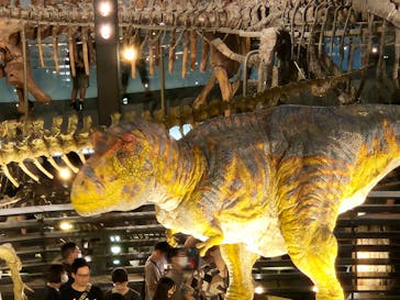 福井県立恐竜博物館に投稿された画像（2023/8/18）