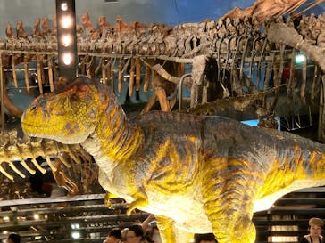 福井県立恐竜博物館に投稿された画像（2023/8/18）