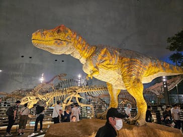 福井県立恐竜博物館に投稿された画像（2023/8/18）