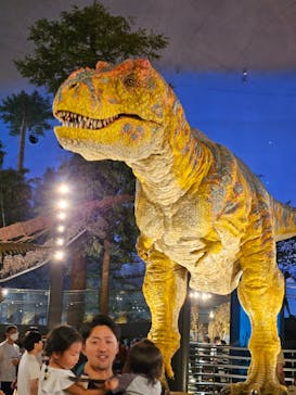 福井県立恐竜博物館に投稿された画像（2023/8/18）
