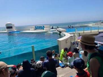 鴨川シーワールドに投稿された画像（2023/8/18）