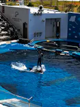 仙台うみの杜水族館に投稿された画像（2023/8/18）