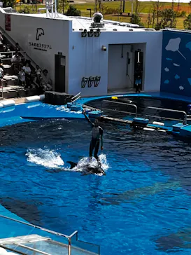 仙台うみの杜水族館に投稿された画像（2023/8/18）