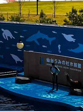 仙台うみの杜水族館に投稿された画像（2023/8/18）