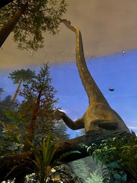 福井県立恐竜博物館に投稿された画像（2023/8/18）