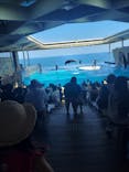 上越市立水族博物館 うみがたりに投稿された画像（2023/8/18）