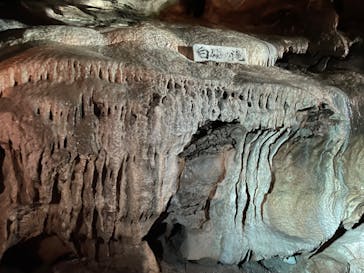 あぶくま洞に投稿された画像（2023/8/18）