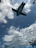 サンシャイン水族館に投稿された画像（2023/8/18）