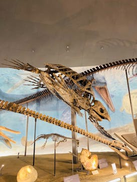 福井県立恐竜博物館に投稿された画像（2023/8/18）