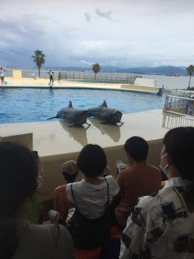 マリンワールド海の中道に投稿された画像（2023/8/18）