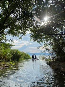 SIGNAL（シグナル） マイアミベースに投稿された画像（2023/8/18）