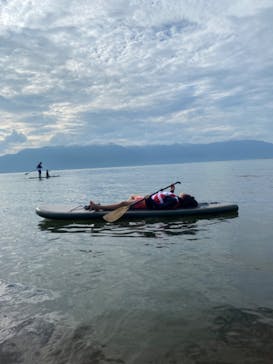 SIGNAL（シグナル） マイアミベースに投稿された画像（2023/8/18）