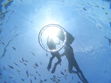 青の洞窟専門店　沖縄ダイビングショップ和に投稿された画像（2023/8/18）