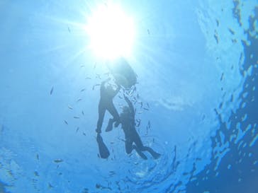 青の洞窟専門店　沖縄ダイビングショップ和に投稿された画像（2023/8/18）