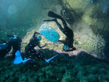 青の洞窟専門店　沖縄ダイビングショップ和に投稿された画像（2023/8/18）