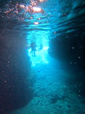 青の洞窟専門店　沖縄ダイビングショップ和に投稿された画像（2023/8/18）