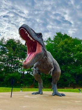 福井県立恐竜博物館に投稿された画像（2023/8/18）