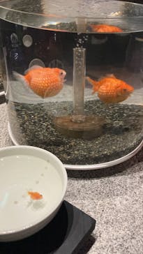 水中楽園アクアリウムに投稿された画像（2023/8/18）