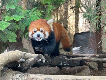 那須どうぶつ王国に投稿された画像（2023/8/18）