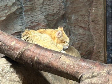 那須どうぶつ王国に投稿された画像（2023/8/18）