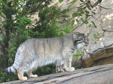那須どうぶつ王国に投稿された画像（2023/8/18）