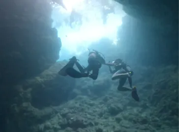 武藤潜水に投稿された画像（2023/8/18）