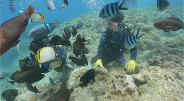 武藤潜水に投稿された画像（2023/8/18）