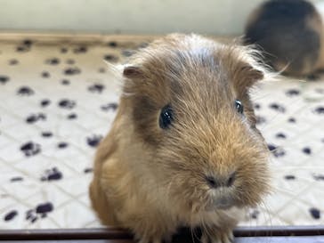 成田ゆめ牧場に投稿された画像（2023/8/18）