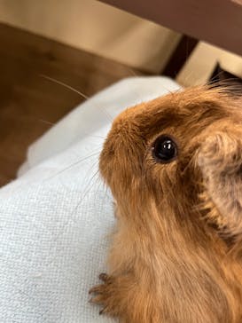 成田ゆめ牧場に投稿された画像（2023/8/18）