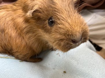 成田ゆめ牧場に投稿された画像（2023/8/18）