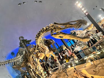 福井県立恐竜博物館に投稿された画像（2023/8/18）