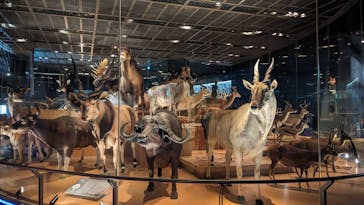 国立科学博物館に投稿された画像（2023/8/18）