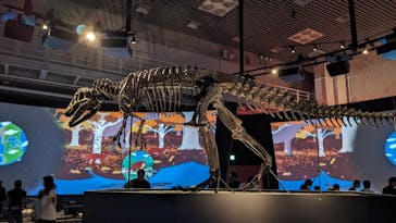 国立科学博物館に投稿された画像（2023/8/18）