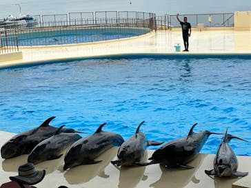 マリンワールド海の中道に投稿された画像（2023/8/18）