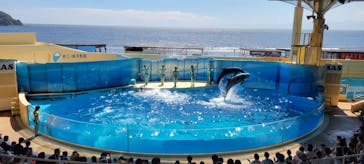 新江ノ島水族館に投稿された画像（2023/8/18）