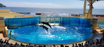 新江ノ島水族館に投稿された画像（2023/8/18）