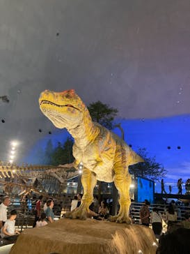 福井県立恐竜博物館に投稿された画像（2023/8/18）