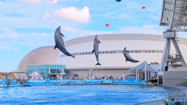 名古屋港水族館に投稿された画像（2023/8/18）