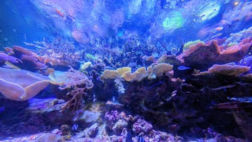 名古屋港水族館に投稿された画像（2023/8/18）