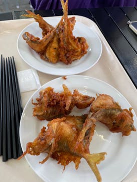 環境水族館アクアマリンふくしまに投稿された画像（2023/8/18）