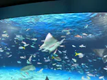 サンシャイン水族館に投稿された画像（2023/8/18）