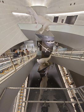 福井県立恐竜博物館に投稿された画像（2023/8/18）